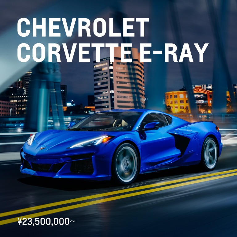 CHEVROLET CORVETTE E-RAY